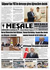 MEŞALE