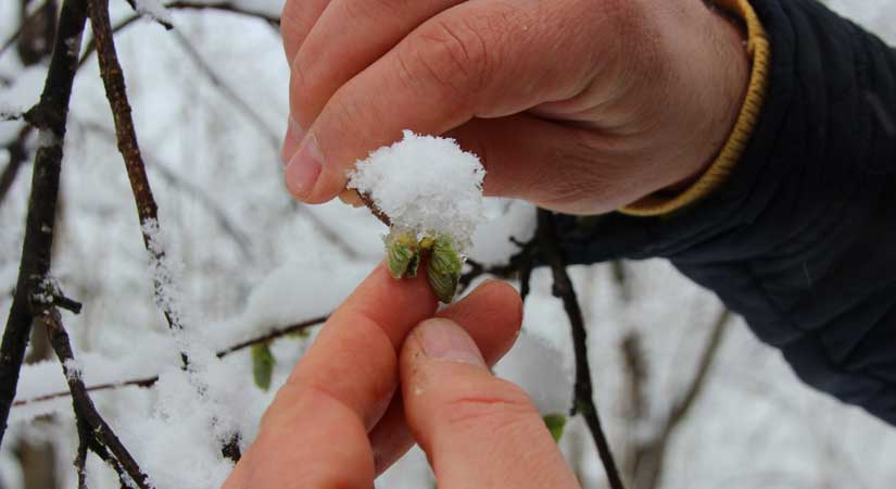 Ziraat Odasından sigorta uyarısı!