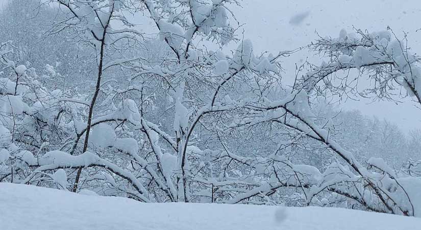 Mart yine kapıdan baktırdı