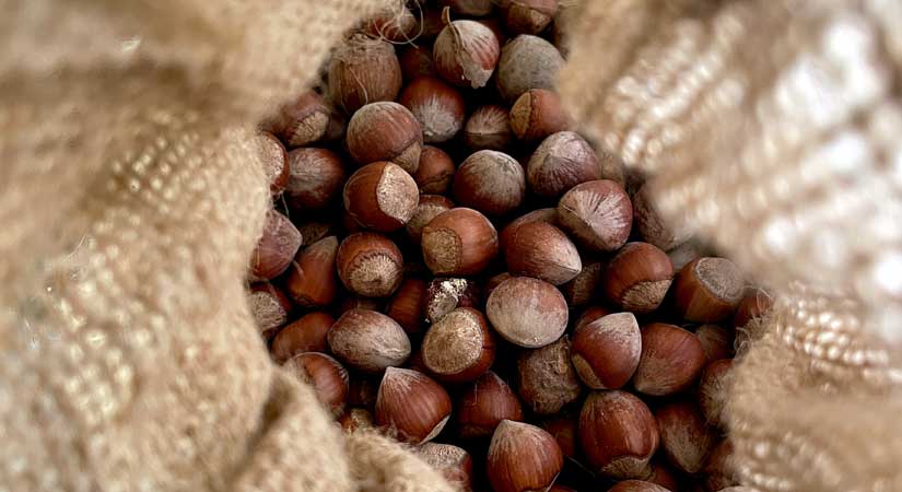 Yeni sezon yaklaşırken bu ne satışı?