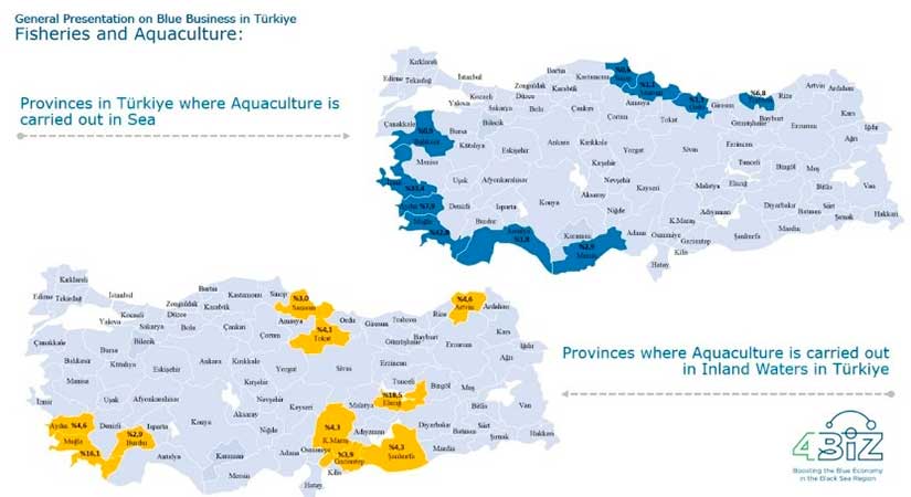 Karadeniz Havzasında Mavi Ekonominin Güçlendirilmesi Projesi