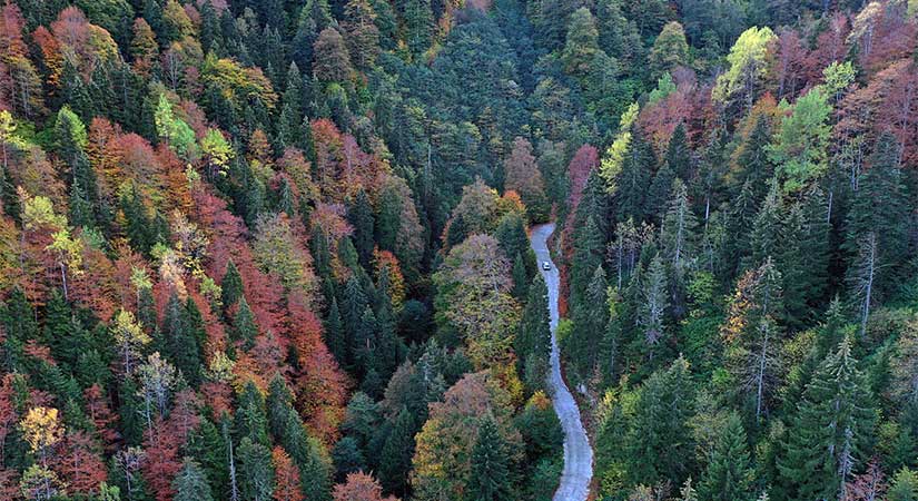 Türkiye, Turnaların konaklama cenneti