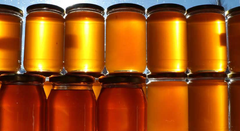 Geçen yıl 118 bin 297 ton bal üretimi gerçekleşti