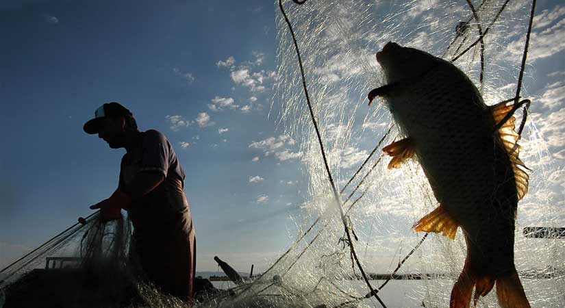 Denizlerde balık varlığının devamı için sıkı denetim!