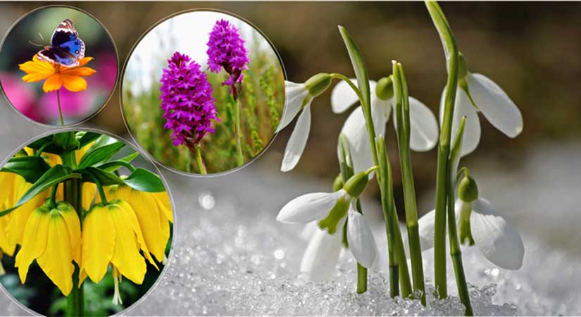 Biyokaçakçılığa geçit verilmiyor