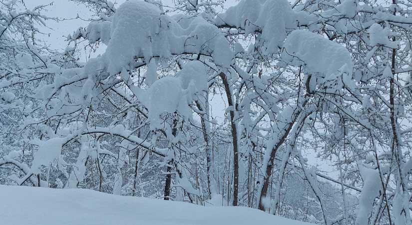 Mayıs ayında karla mücadele