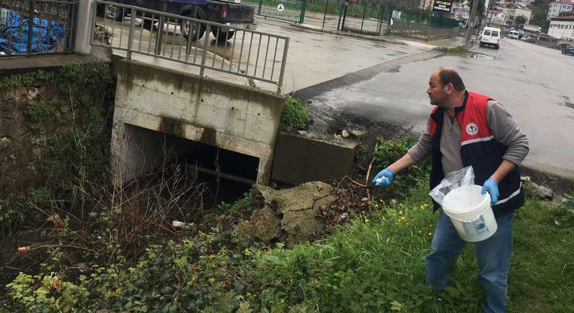 Sivrisinek ve haşerelere karşı ilaçlama çalışması yoğunlaştı