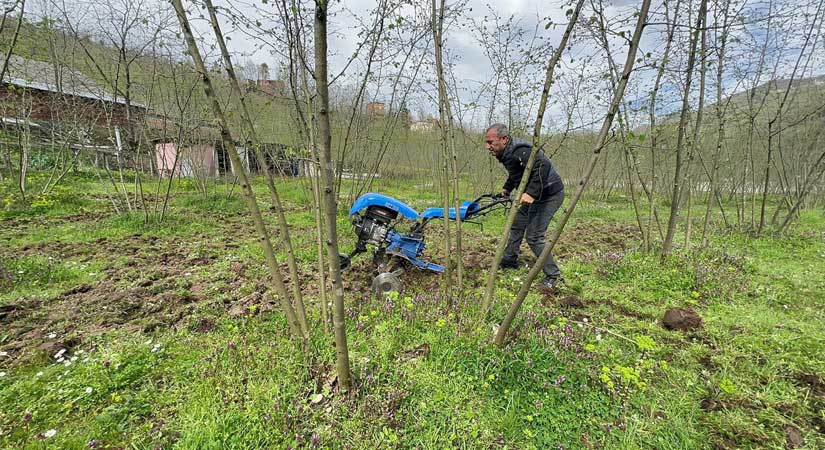 Ordu valisi Sonel 40 yıllık fındık üreticisi gibi