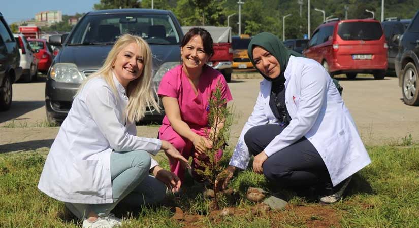 Fidanlar hemşireler için yeşerecek