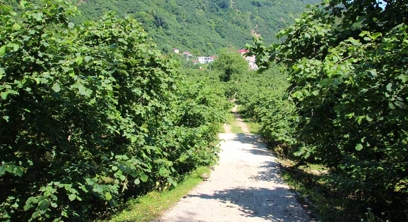 Mevsimlik işçiler için gerekli önemli ve kararlar alındı