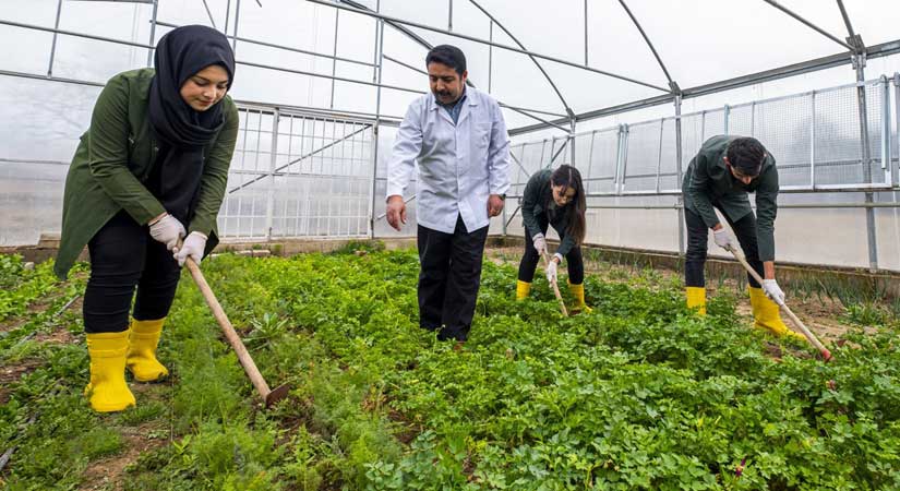 Milli Eğitim Bakanlığından tarım liseleri hamlesi