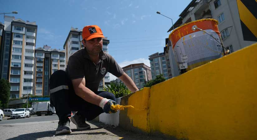 Şehir genelindeki bordürler boyanıyor