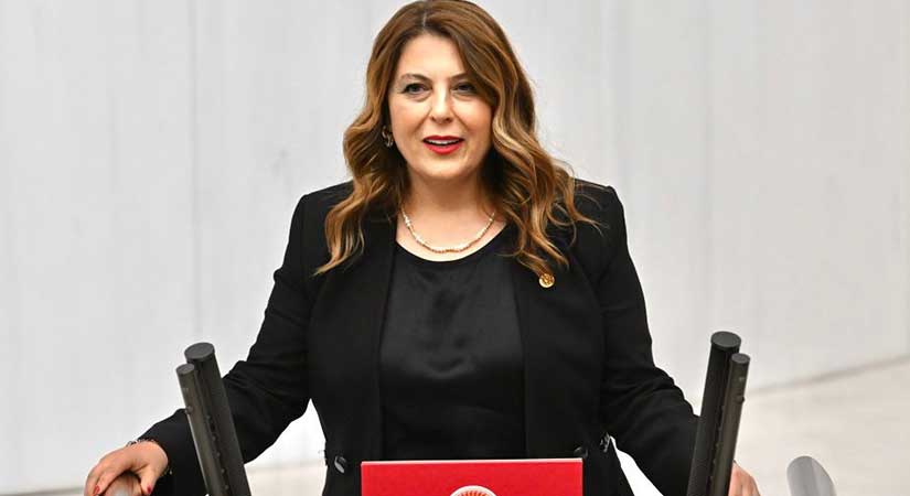 Gezmiş, Meclis Katip Üyeliği görevine getirildi
