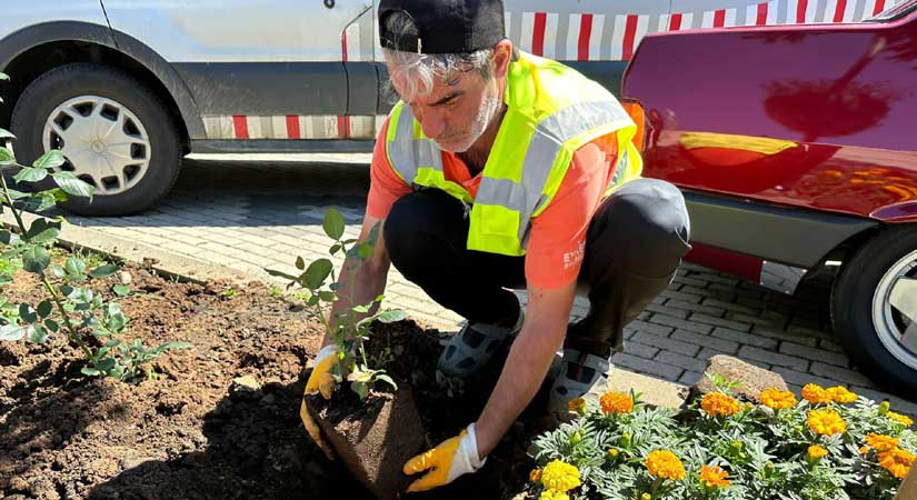 Karadeniz: Eynesil’i ilmek ilmek, nakış nakış işliyoruz
