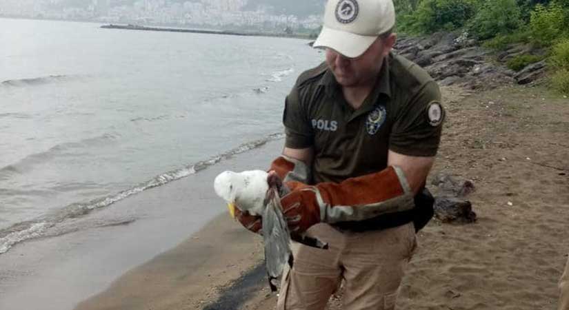 HAYDİ, polisleri el uzattı