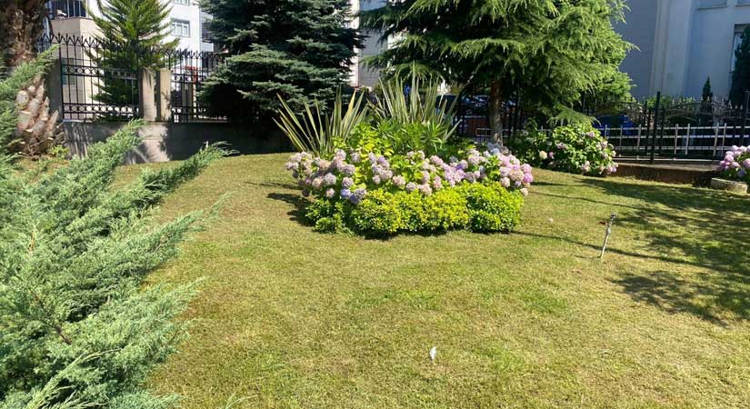 Şehrin her noktasına dokunuyorlar