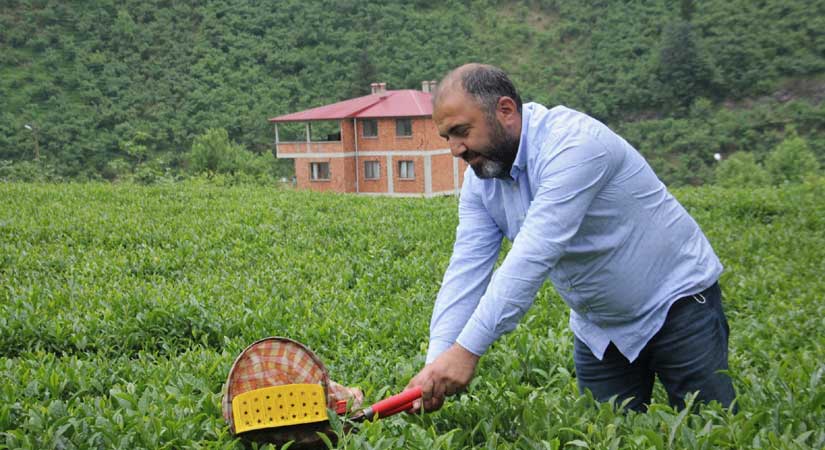 Özel sektör, ÇAYKUR’u solladı!