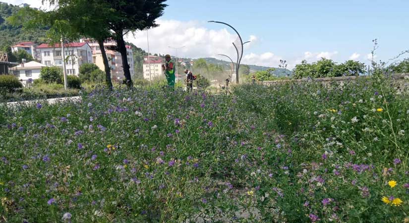 Eynesil’de yeşil alanlar tertemiz