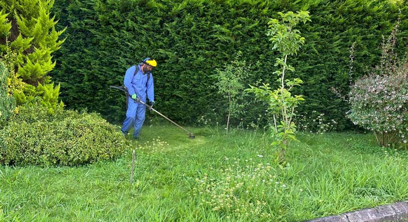 Park bahçe ekipleri şehri güzelleştiriyor