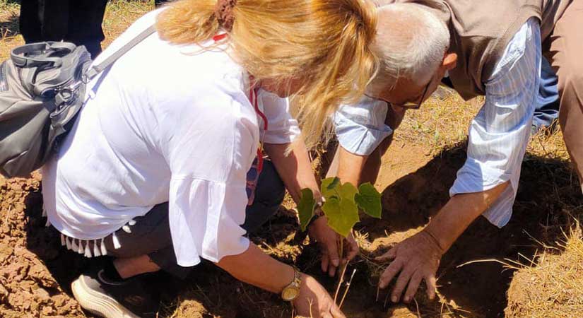 Fidanlar toprakla buluştu