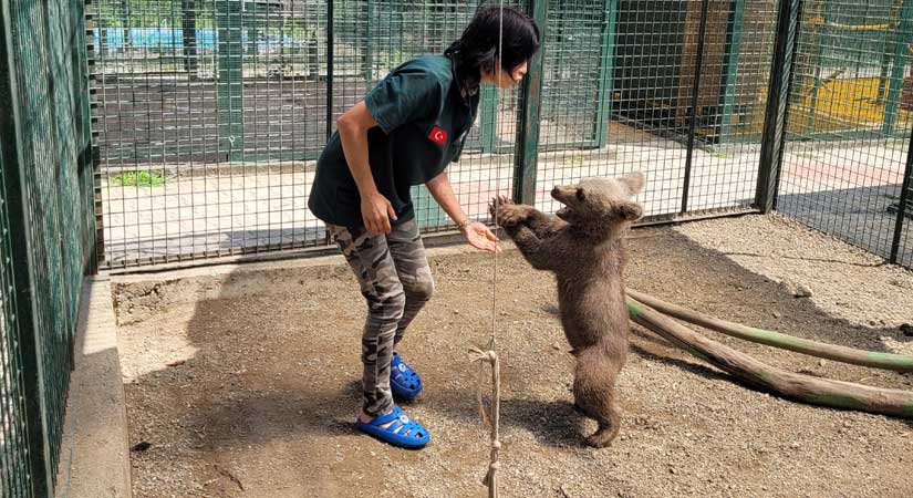 Aralarında duygusal bir bağ oluştu