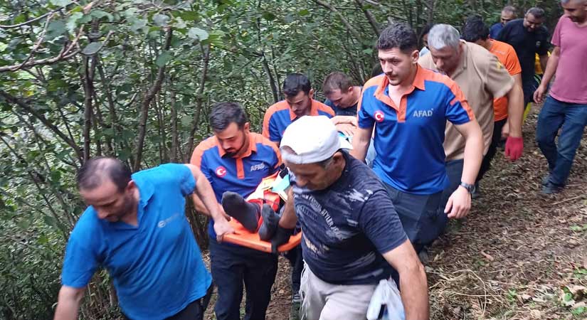 Bahçelerde ayak tutmuyor!
