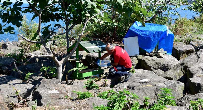 Can dostların besleme noktalarına su takviyesi