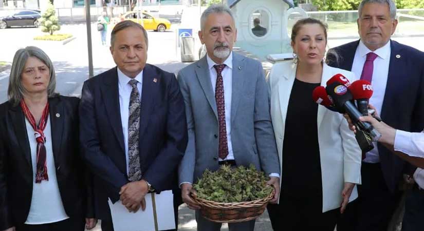 CHP fındığa yeni fiyat istedi!