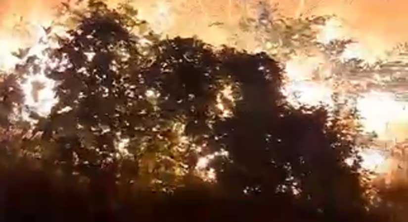 Keşap’ta korkutan yangın