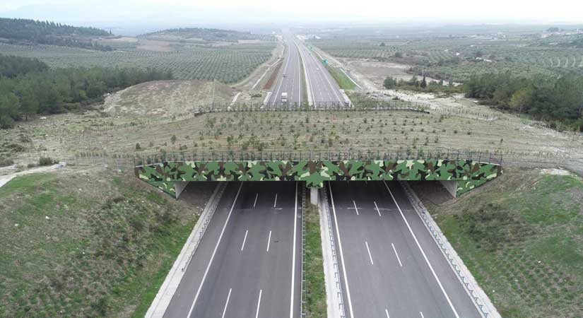 Ekolojik köprülere önem