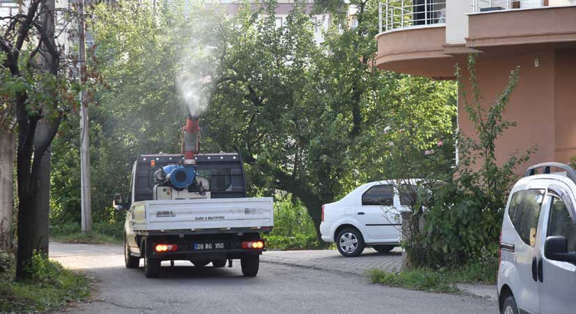 Görele’de gece-gündüz sivrisinek mücadelesi