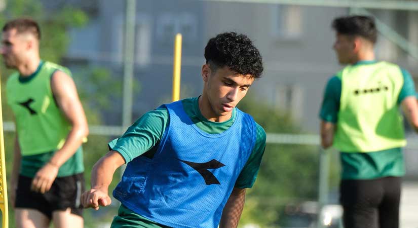 Çotanaklar yoğun tempoda