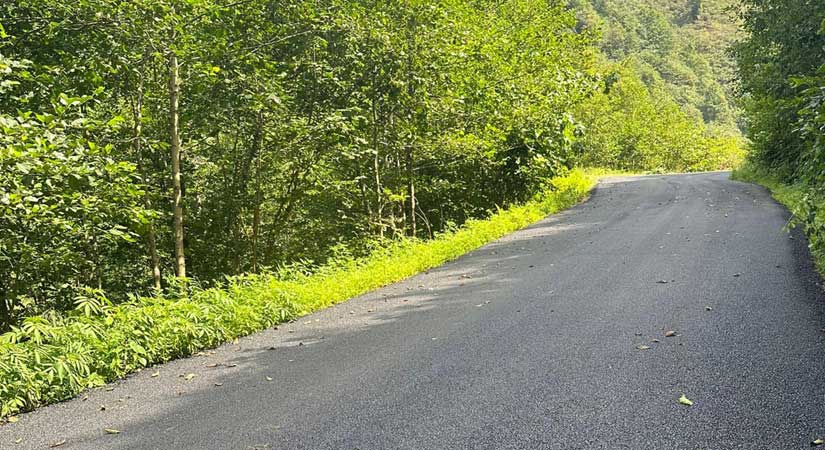 Özel İdare Güce’de