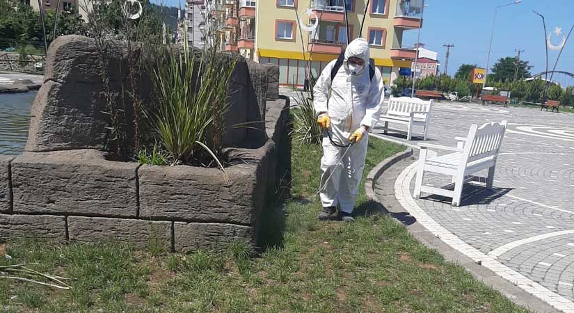 İlaçlama çalışmaları sürüyor