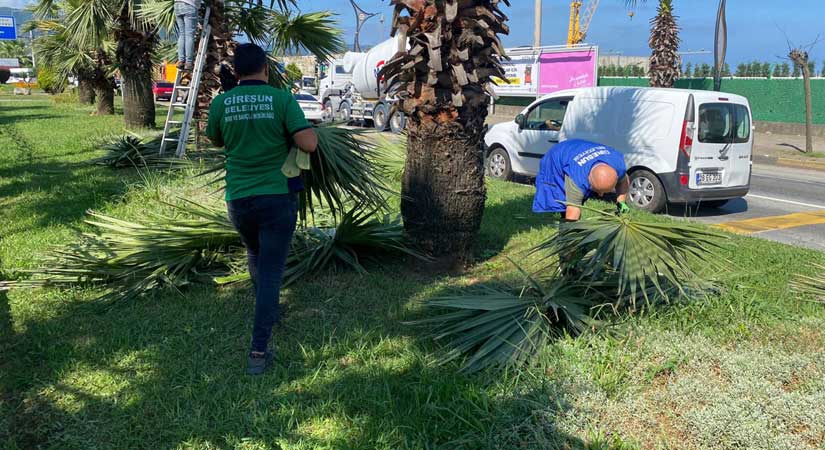 Park bahçe ekipleri sahada