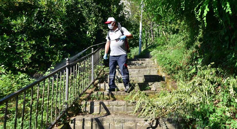 İlaçlama ekipleri sokak sokak çalışmalarına devam ediyor