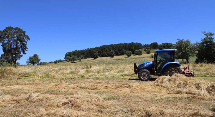 Tarla bitkileri ekim alanları arttı