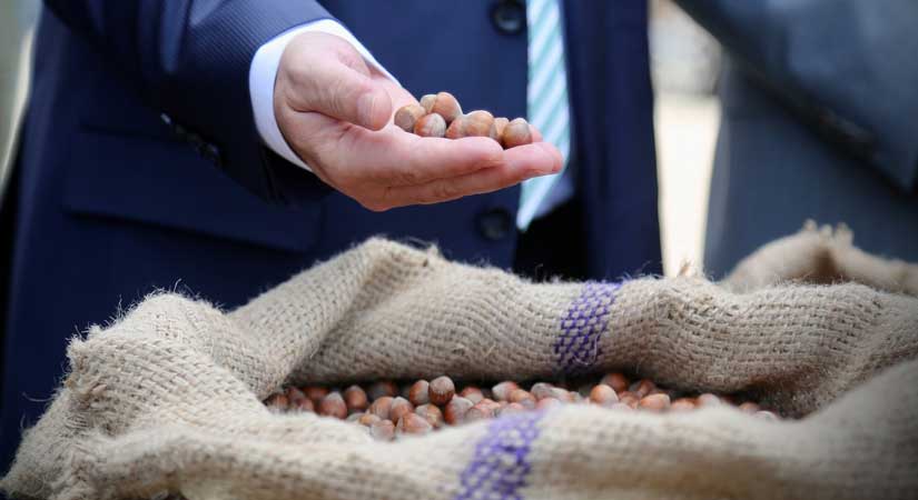 Giresun Ticaret Borsası: Üreticinin fındığı geri çevrilmedi
