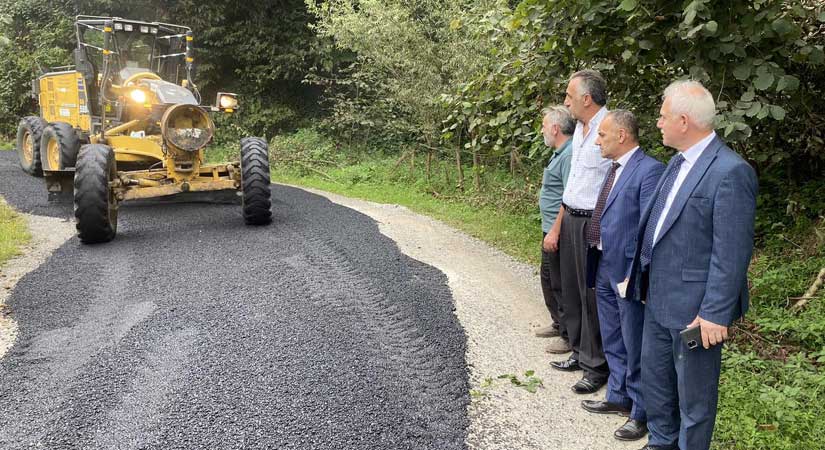 Milletvekili Elmas, asfalt çalışmalarını takip etti