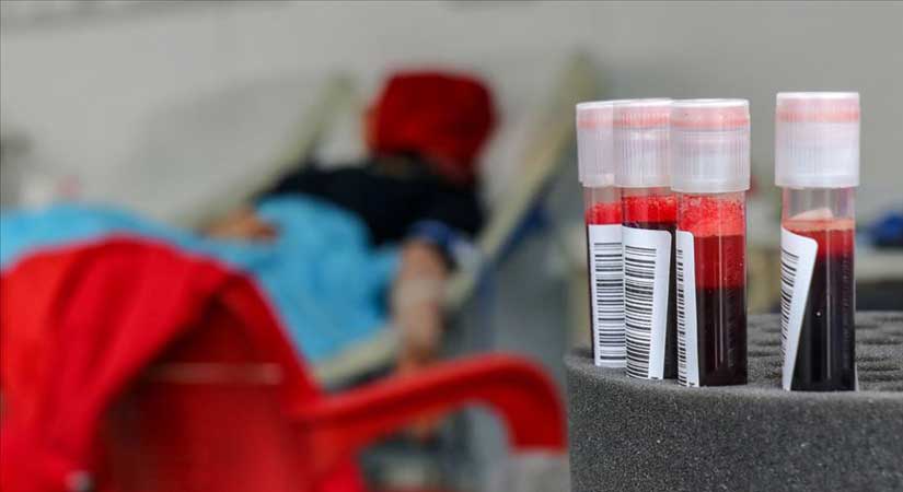 Usta: Haydi Giresun, her damlada hayat var