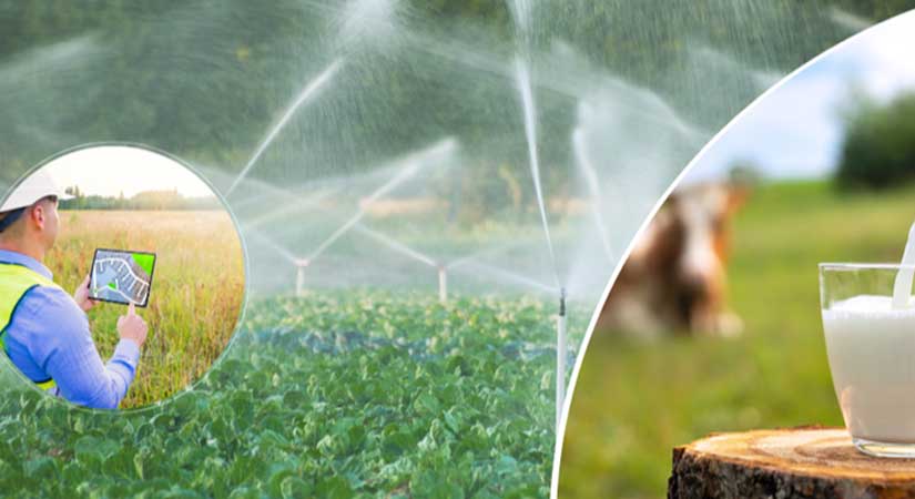 Tarımsam Destek Ödemeleri çiftçilerin hesaplarına aktarıldı