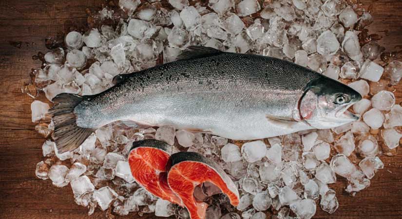 Giresun’da Türk somunu üretilecek