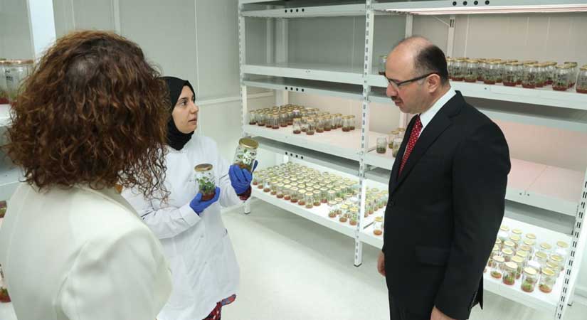 Fındık Giresun ekonomisi için vazgeçilmez bir üründür