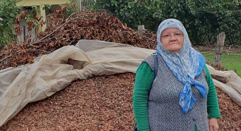 TMO’da fındık bedelleri ne zaman ödenecek?