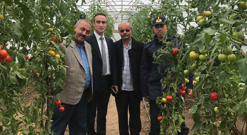 Uygulamalı tarıma tam not