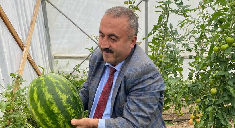 Kesmece Yavuzkemal…