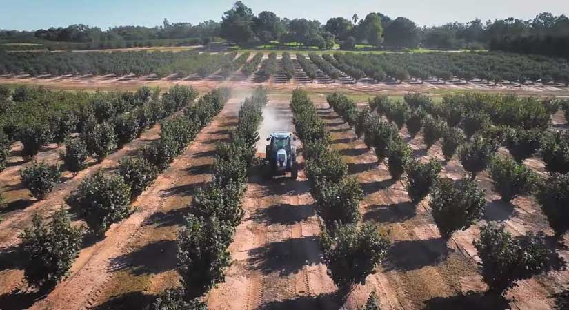 Ferrero Avustralya’daki projesini terk etti