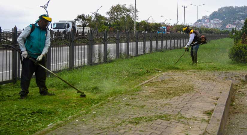 Sahil şeridinde ot biçme çalışması