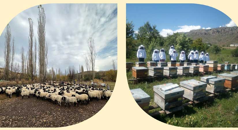 Başvurular 1 Aralık’ta başlıyor