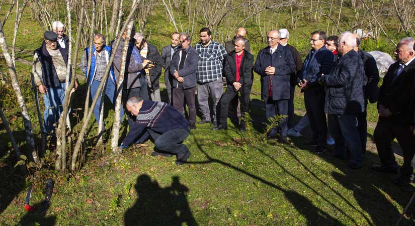 Fındık ihtisaslaşma Koordinatörlüğü bahçede